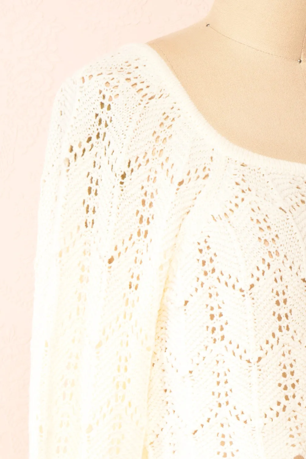 Amandine | Ivory Crochet Crop Top w/ Long Sleeves