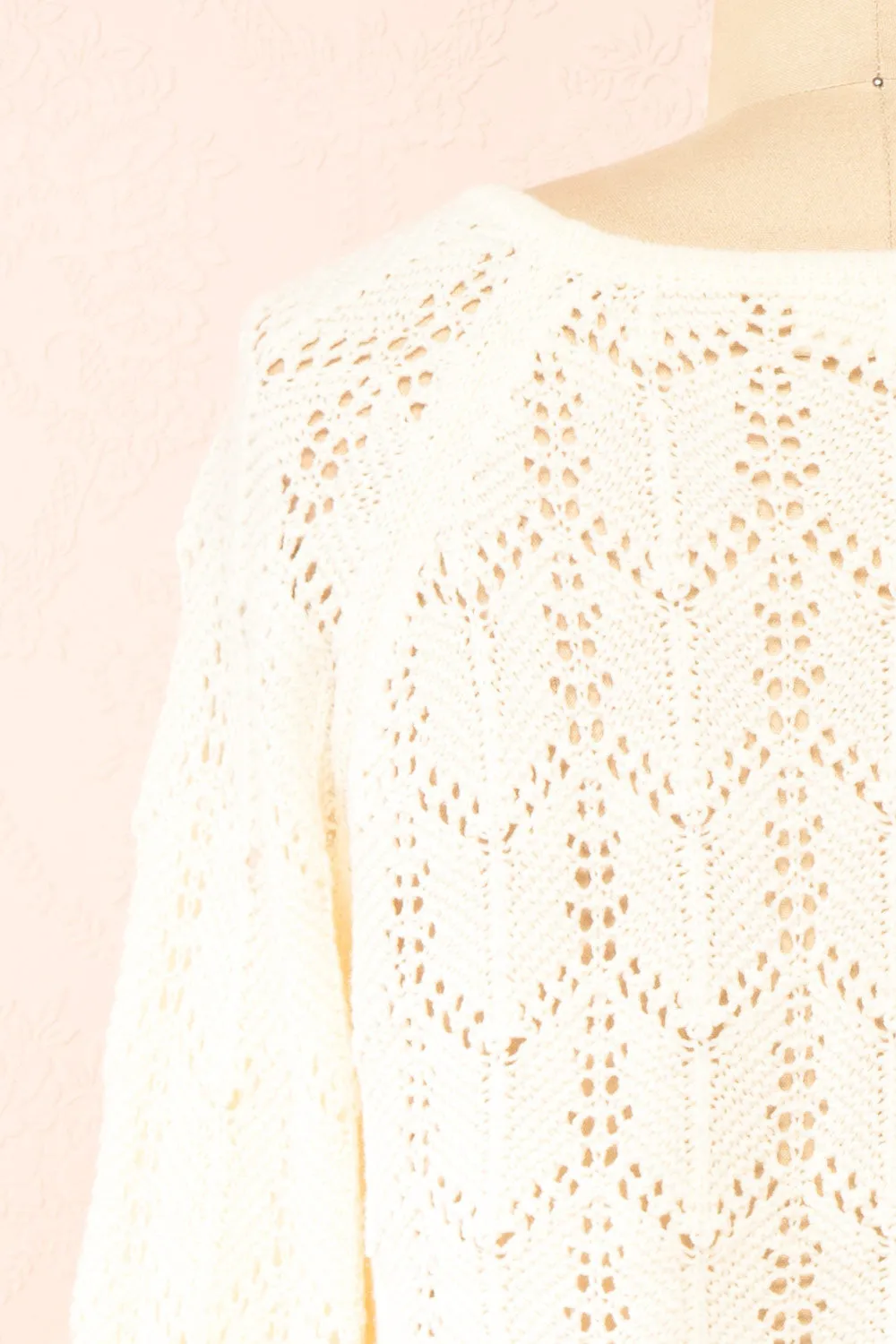 Amandine | Ivory Crochet Crop Top w/ Long Sleeves