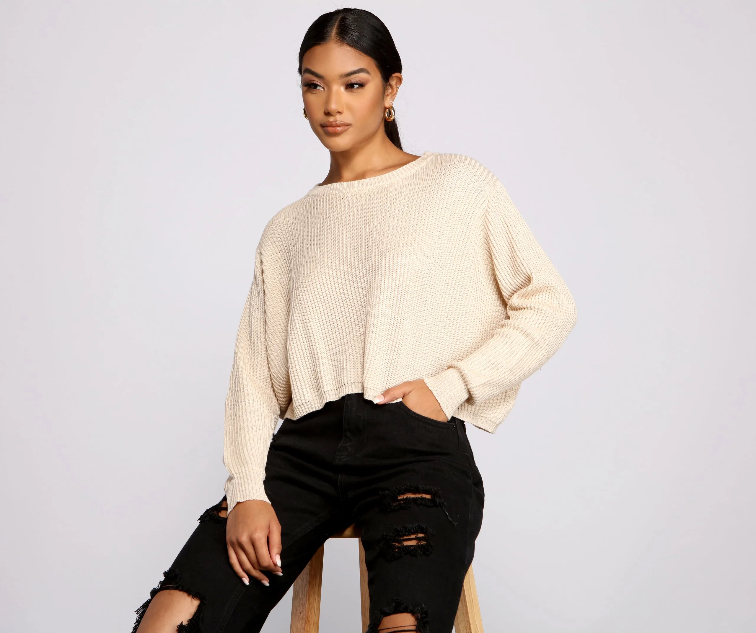 Basic Crew Neck Cropped Knit Sweater