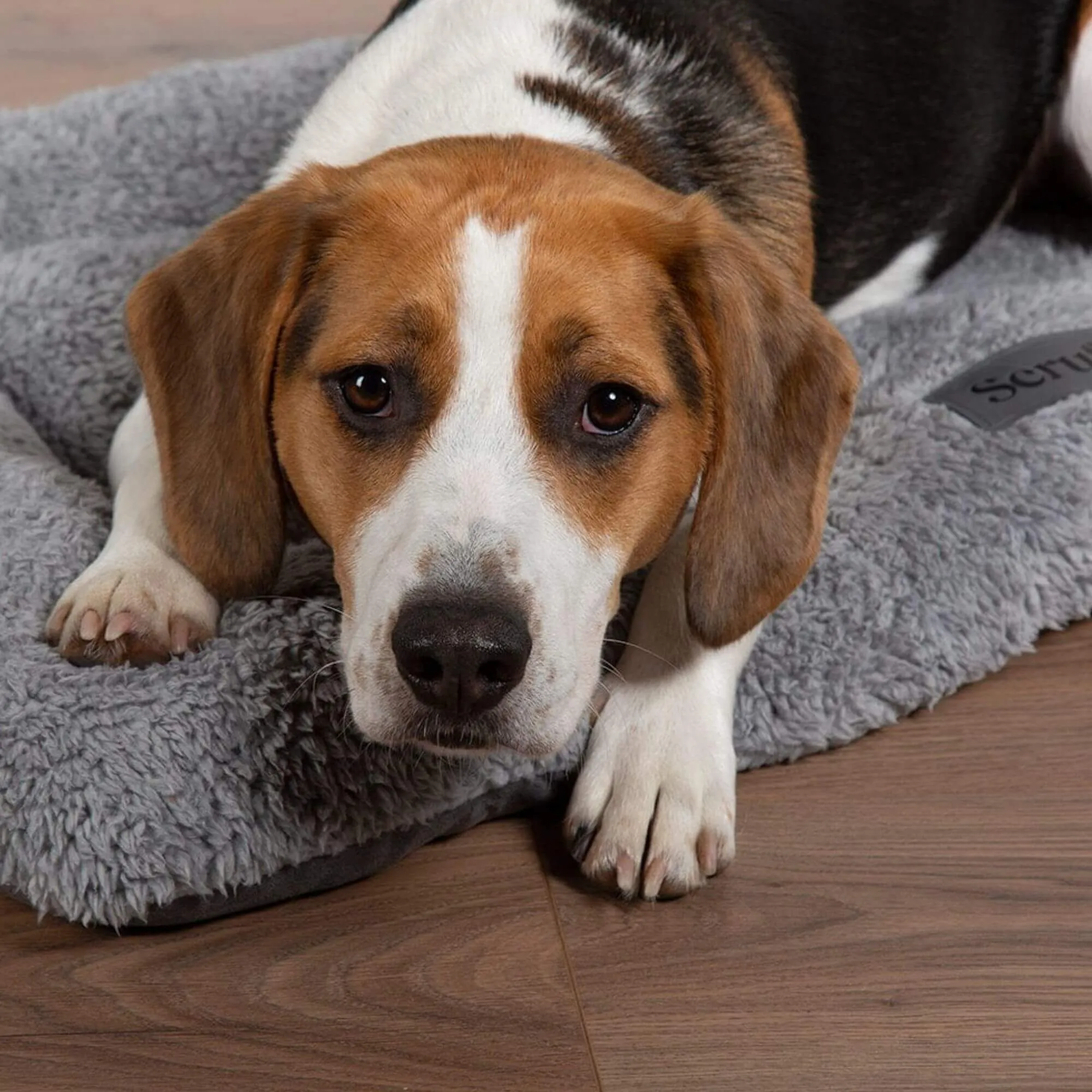 Scruffs Cosy Crate Mat in Grey