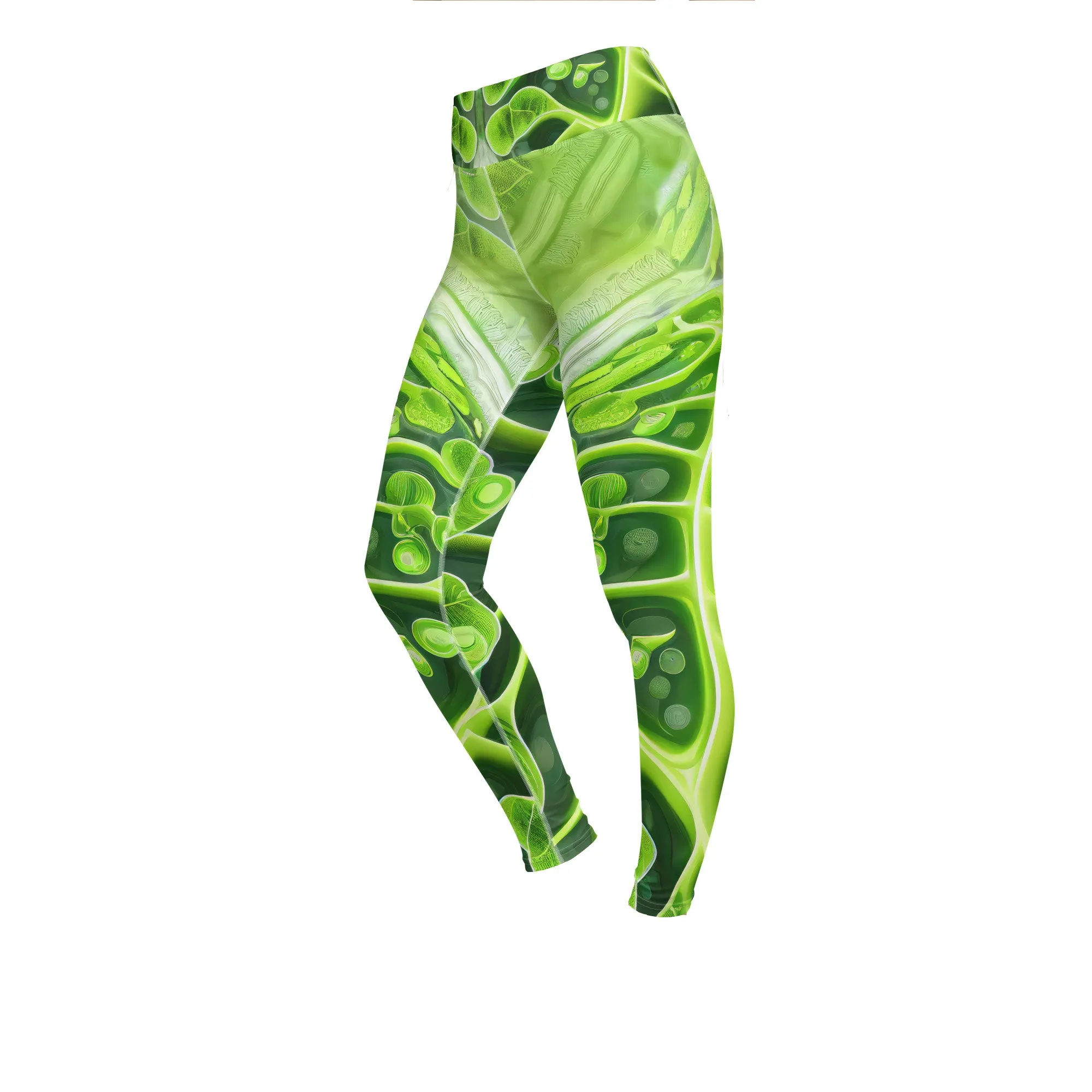 Yoga Leggings Photosynthesis