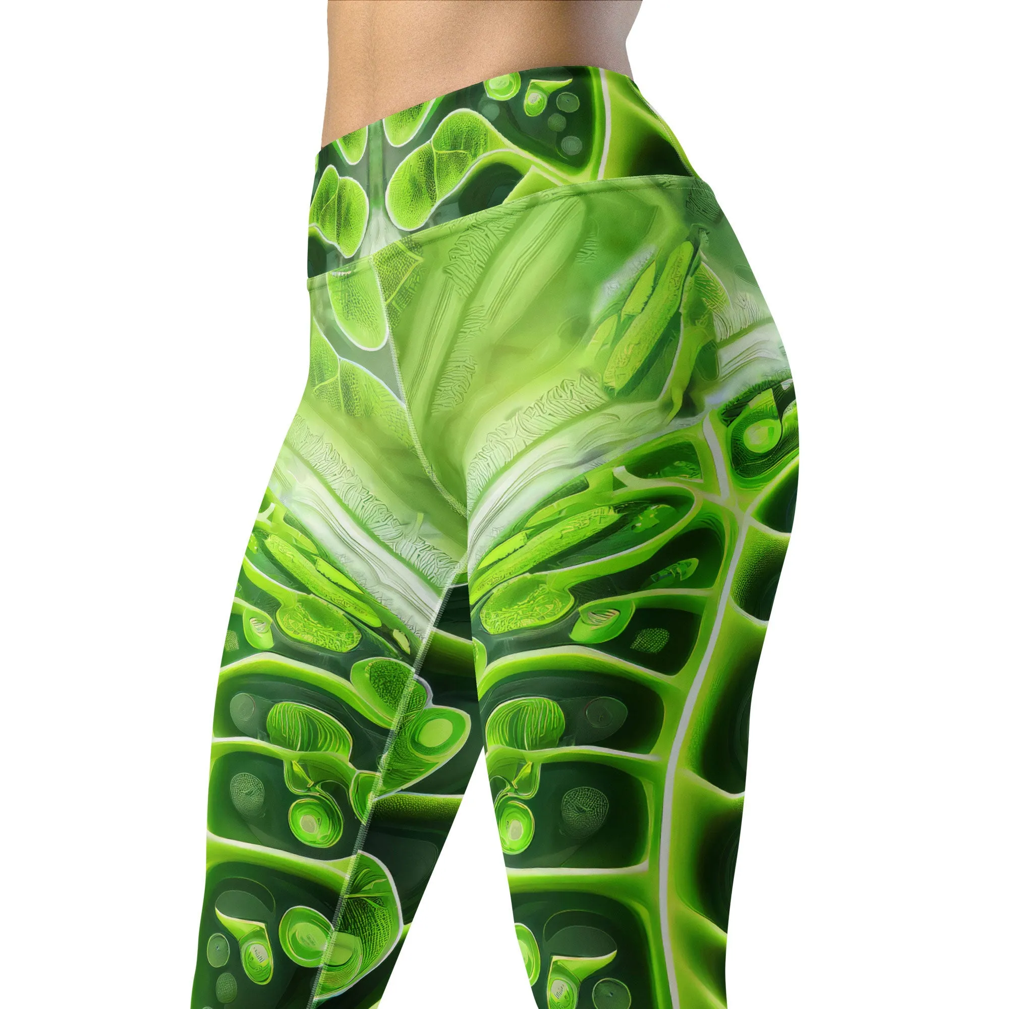 Yoga Leggings Photosynthesis