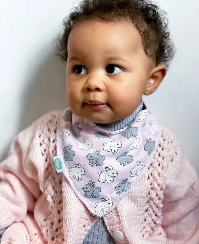 Ziggle - Cuddly Pinks Bib Set